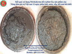 PHÂN BÓN SINH HỌC TRICHODERMA - CÔNG NGHỆ ISRAEL