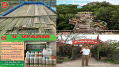 Nông nghiệp sinh thái 02