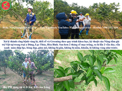 SIÊU CANXI BO ĐẬM ĐẶC