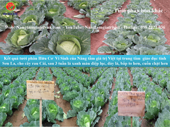 Phân bón gốc ECO Hydro - Cung cấp hữu cơ, Đạm, Protein..