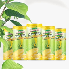 Nước Uống Thảo Dược Sâm FanSiPan (Thực phẩm bổ sung)