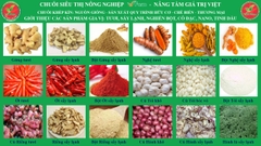 CÁC SẢN PHẨM GIA VỊ CHAY TÚI SỆT