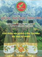 Giấm Táo Mèo VFARM