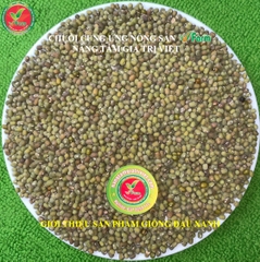 Giống Đậu Xanh