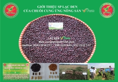Lạc Đen VFarm