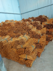 TINH DẦU QUẾ VÀ CÁC SẢN PHẨM QUẾ