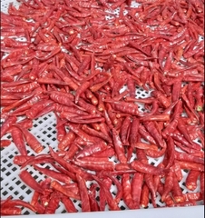CÁC SẢN PHẨM GIA VỊ CHAY