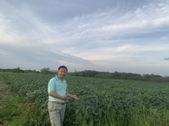 BỘT MẦM ĐẬU TƯƠNG ĐEN VFARM