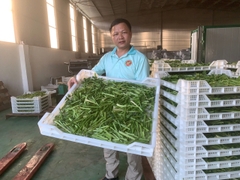 Xuất-Nhập khẩu 36