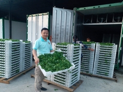 Xuất-Nhập khẩu 34