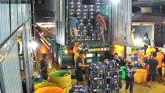 Xuất-Nhập khẩu 23