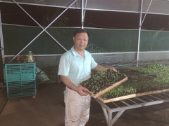 SẢN PHẨM ỚT : TƯƠI - SẤY LẠNH - NGHIỀN BỘT - TINH DẦU - GIA VỊ BỘT - GIA VỊ TÚI SỆT