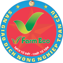 Nangtamgiatriviet.com