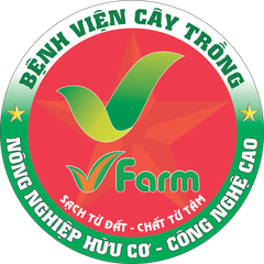 Nangtamgiatriviet.com