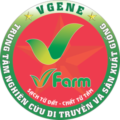 Nangtamgiatriviet.com