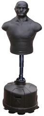 Model : 223