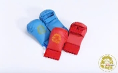 Găng tay Karate Lions