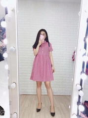 Đầm Kẻ caro nhỏ