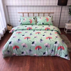 bộ ga hiệu IKEA ( hàng hiếm) cotton 100% mịn mát