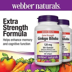 Ginkgo Biloba