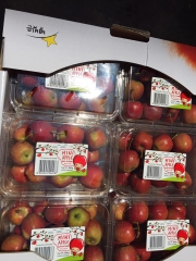 Táo mini Úc - Apple Mini