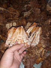 Măng nứa hạng nhất
