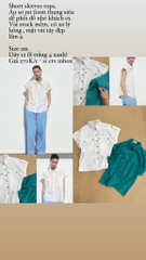 Short sleeves tops.