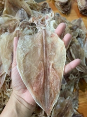 Mực khô