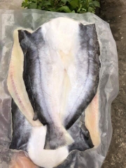 Cá dứa nuôi bè