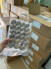 Bào ngư tươi đông lạnh của Nhật