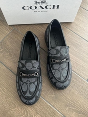 giày C.o.a.ch chuẩnx xịn