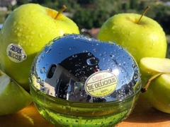 DKNY Be Delicious - Táo xanh - authentic