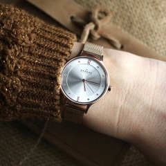 Skagen
