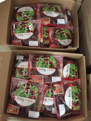 TÁO ĐỎ HÀN QUỐC 0,5kg