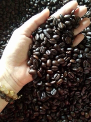 Cafe sạch nguyên chất 100% do ngừơi nhà trồng tại Gia Lai.
