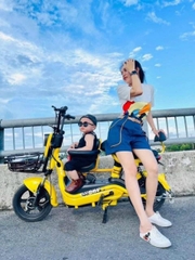 Xe đạp điện