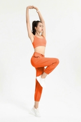 Bộ jogger bra chéo cài sau