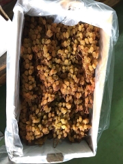 Nho Úc nguyên cành