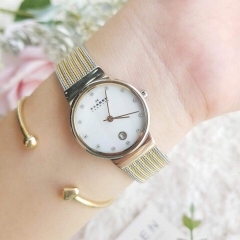 Skagen