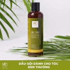 DIỆP THẢO - DẦU GỘI BỒ KẾT THIÊN NHIÊN