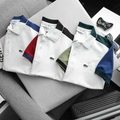 THUN NAM LC0STE 4 chiều 100% cotton.
