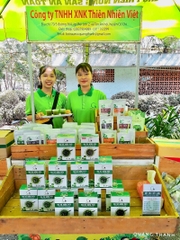 Team Quảng Thanh