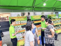 Team Quảng Thanh