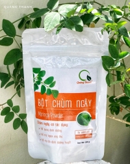 Bột Chùm Ngây - 100g - FREESHIP ĐƠN TỪ 300K