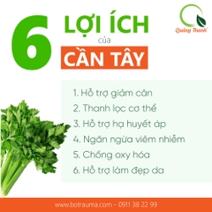 Bột Cần Tây -  Hộp tiện lợi - FREESHIP ĐƠN TỪ 300k