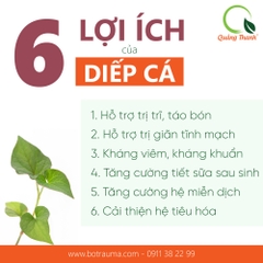 Bột Diếp Cá - Hộp tiện lợi - FREESHIP ĐƠN TỪ 300k