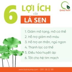 Bột Lá Sen - Hộp tiện lợi - FREESHIP ĐƠN TỪ 300k