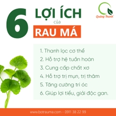 Rau Má Uống Liền Có Đường - Hộp 10 Gói - FREESHIP ĐƠN TỪ 300k