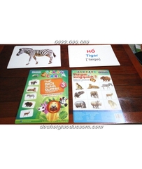 Flashcard ( Động vật hoang dã ) Hàng chuẩn