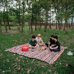 [CHO THUÊ_T3] THẢM THỔ CẨM SIZE TO